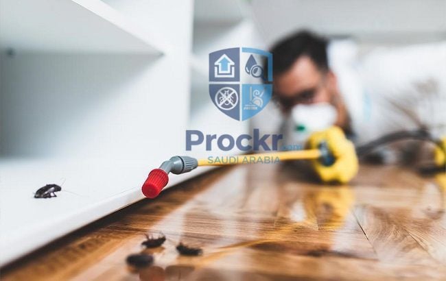 مكافحة الحشرات - صورة