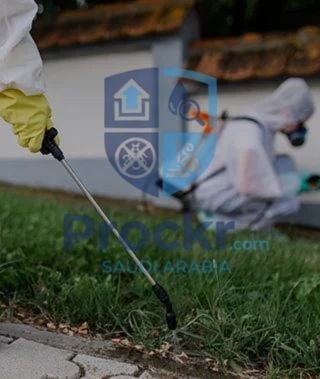 مكافحة الحشرات - صورة