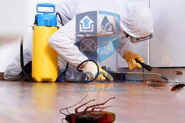 مكافحة الحشرات - صورة
